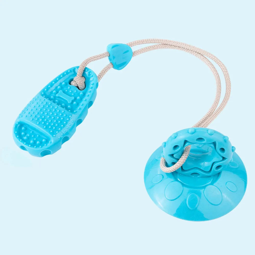 Pet Supplies: Suction Cup