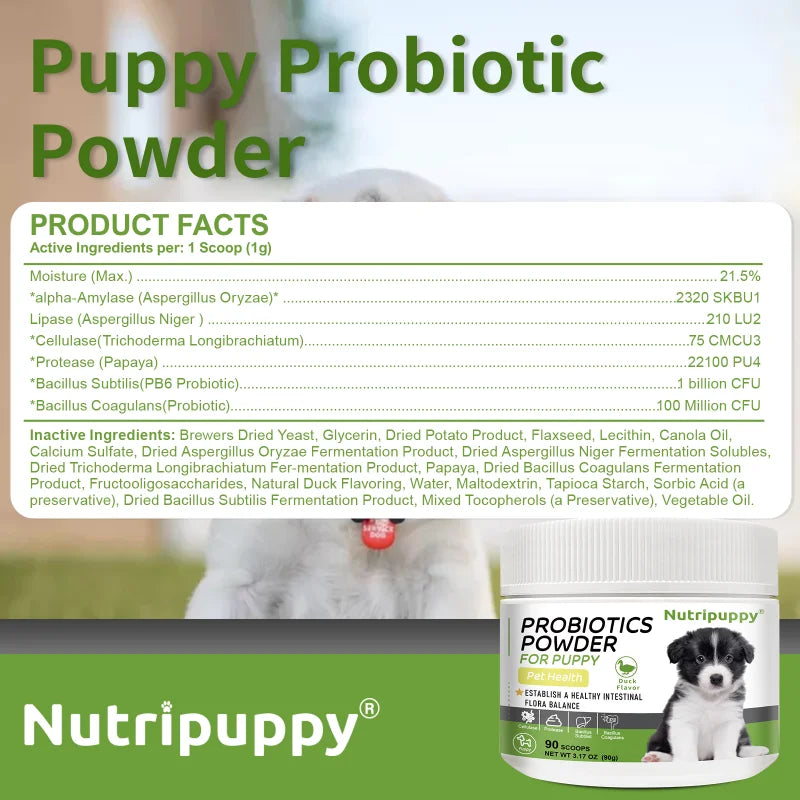 Dog Probiotic Powder Supplement