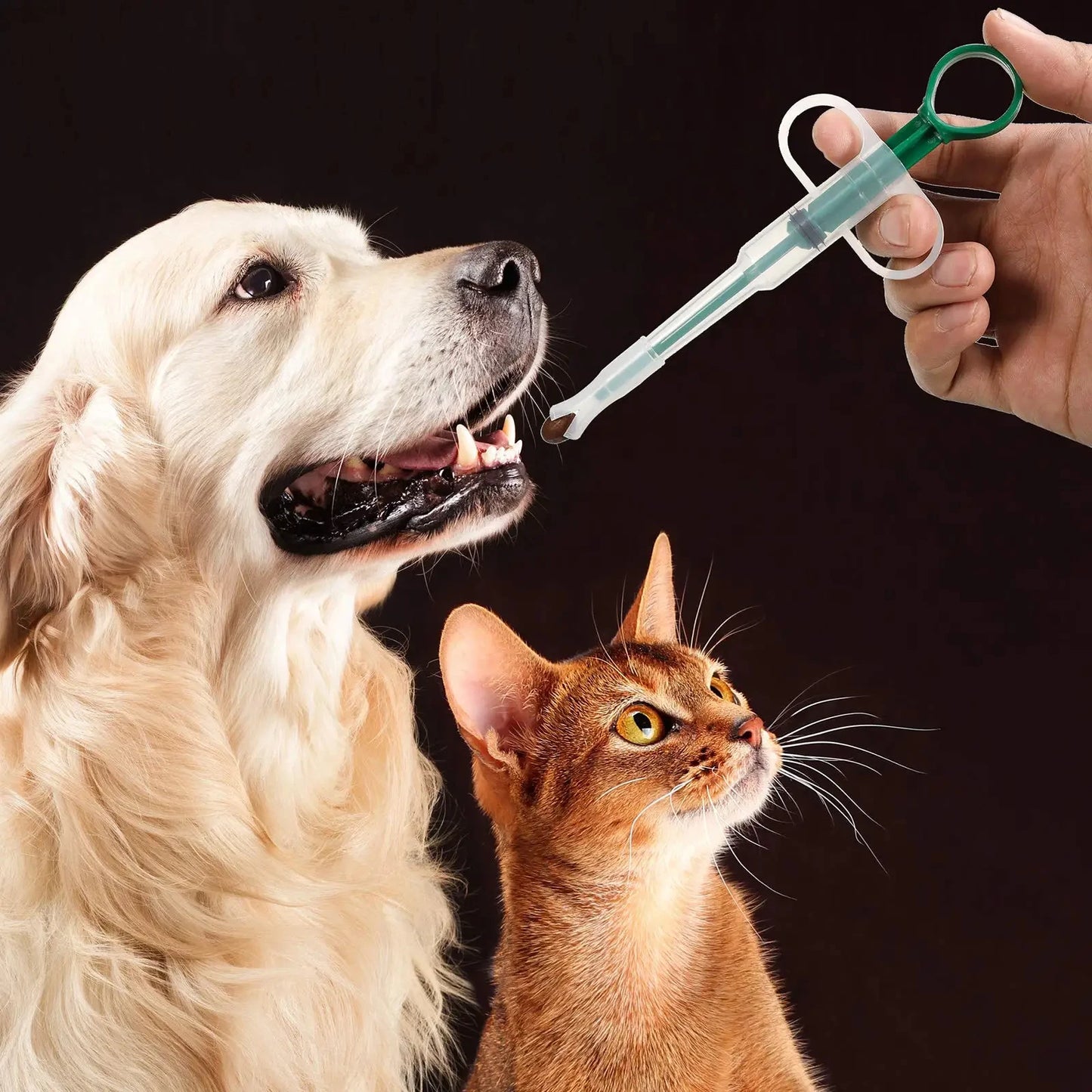Pet Medication supplements