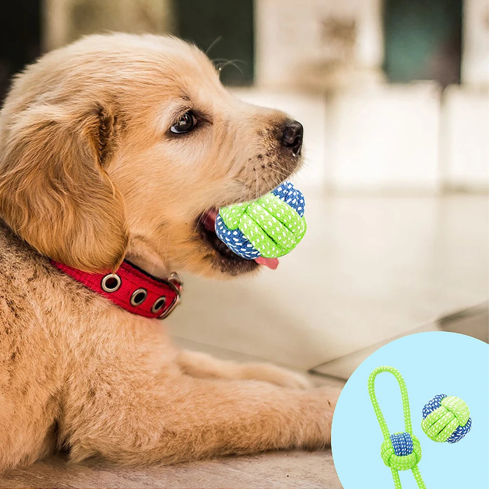 Dog Toothbrush Chew Toys
