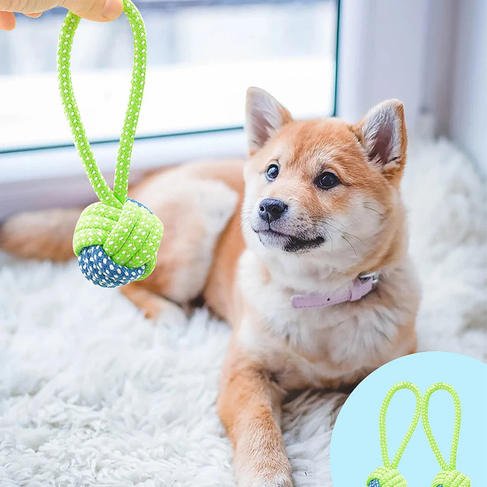 Dog Toothbrush Chew Toys