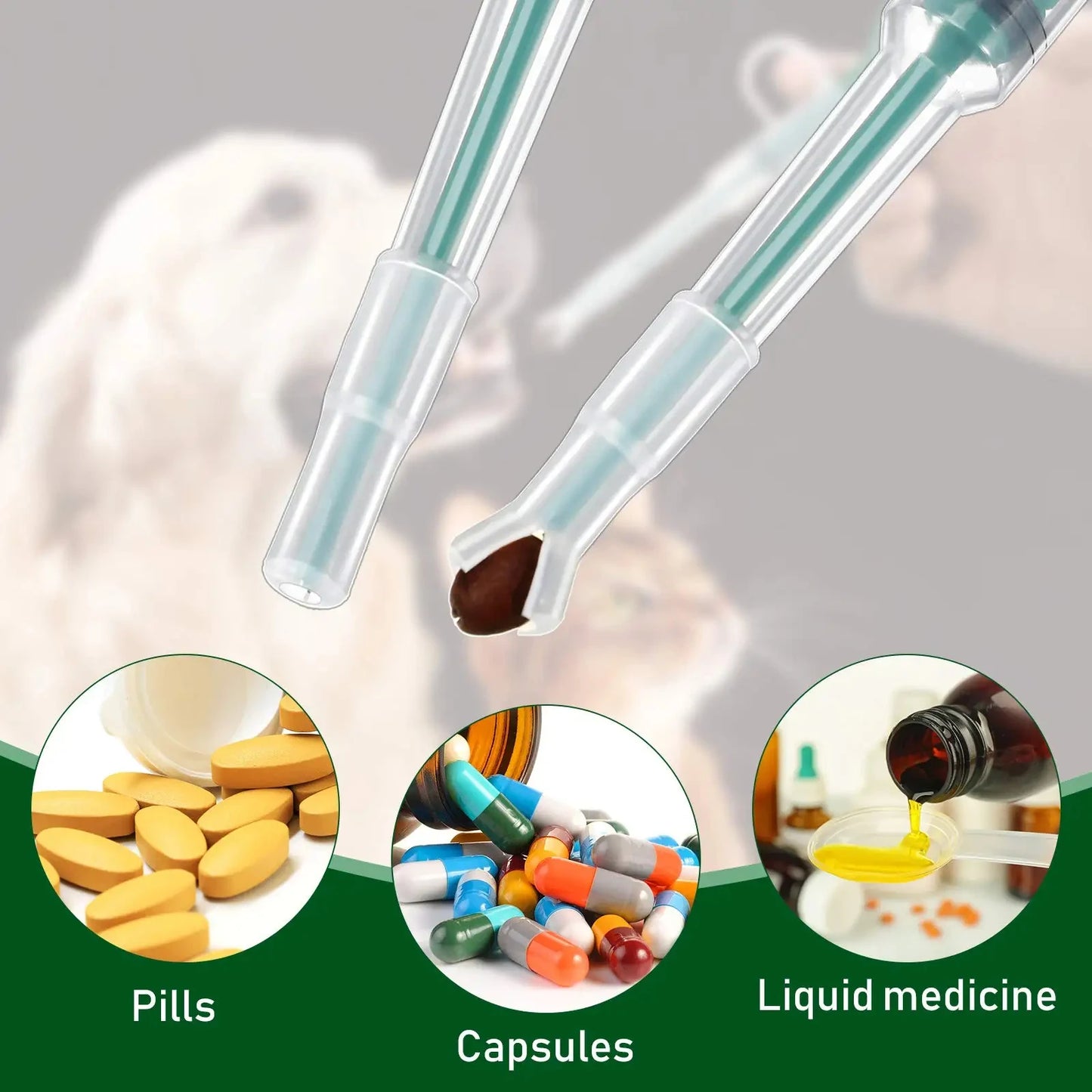 Pet Medication supplements