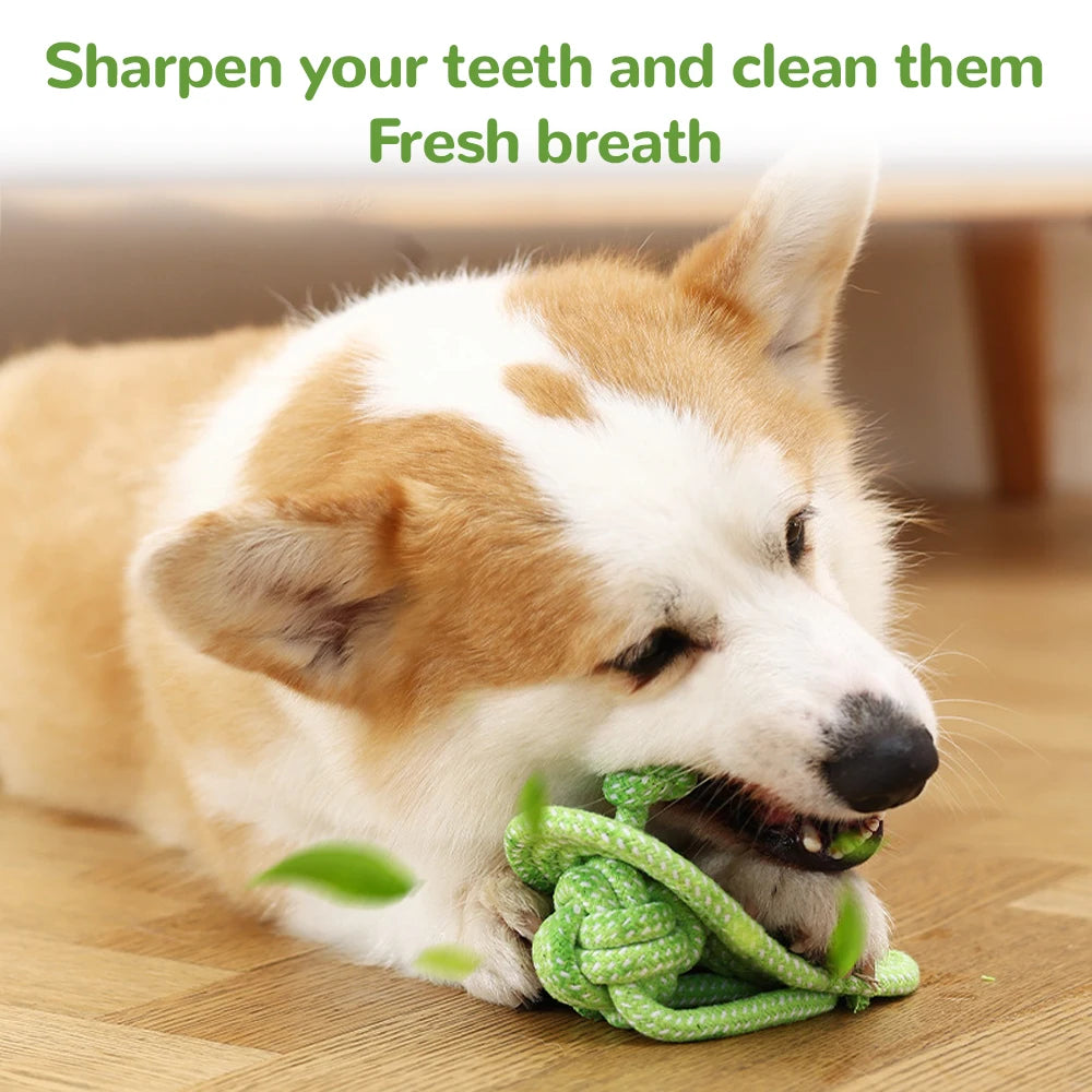 Dog Toothbrush Chew Toys