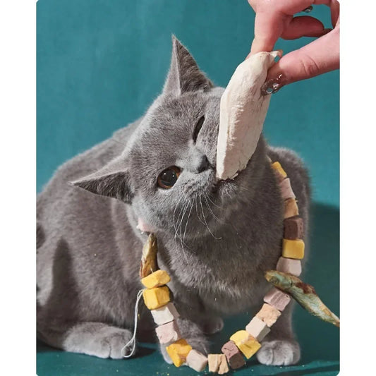 pet Supplement Nutrition for Dog