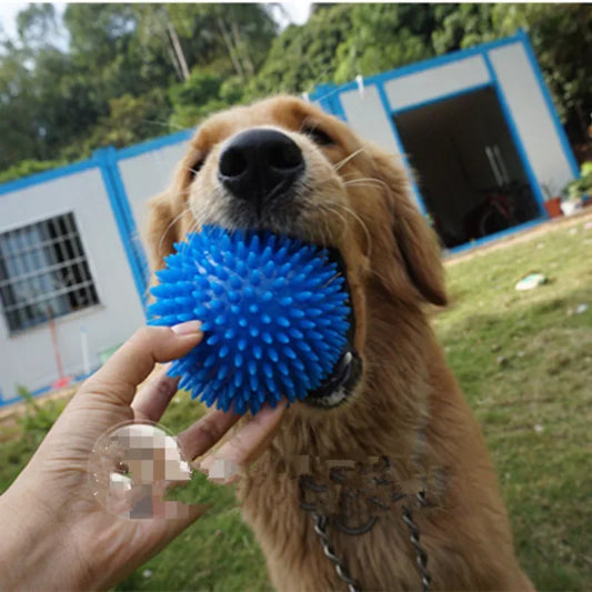 Puppy Pet Dog Cat  Ball Toys,