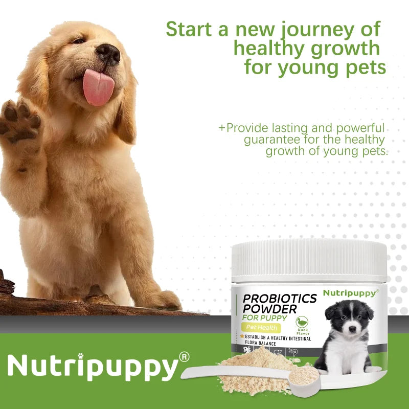 Dog Probiotic Powder Supplement