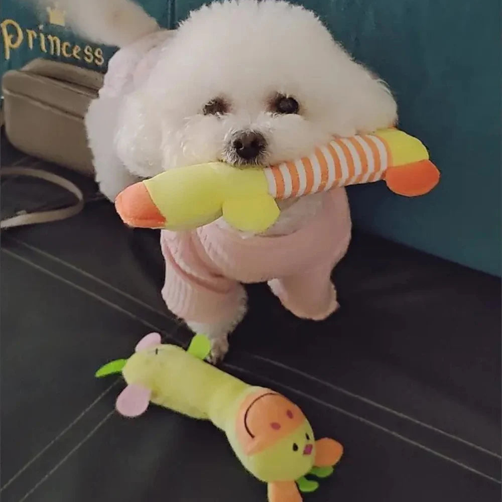 Plush Filled Pet Chew Toys for Small Dogs