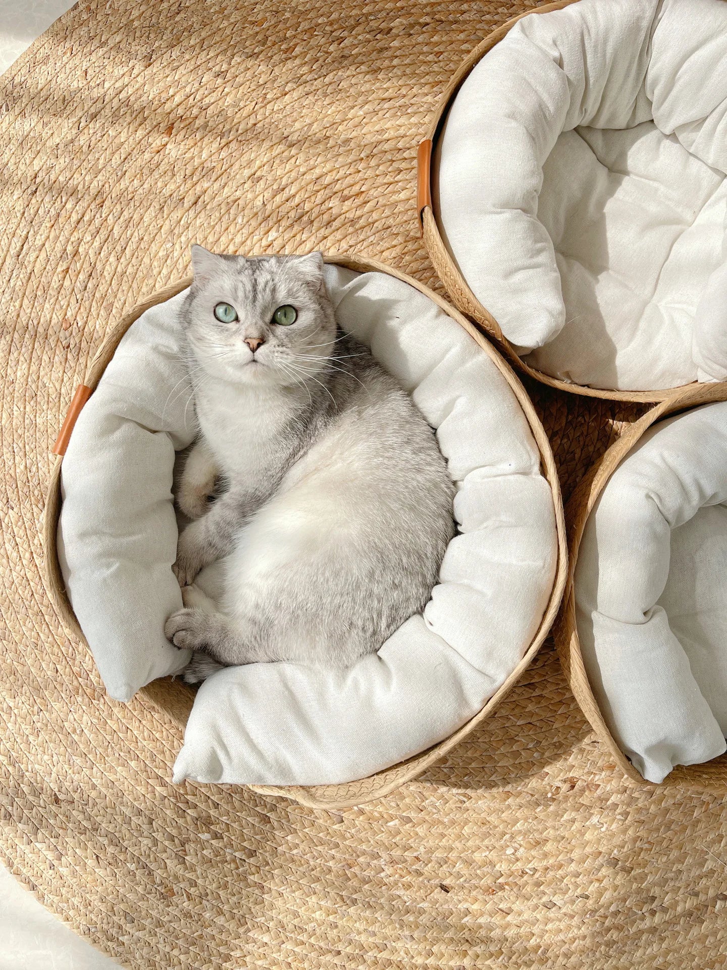 Pet Cat Dog Cushion Sofa Bed