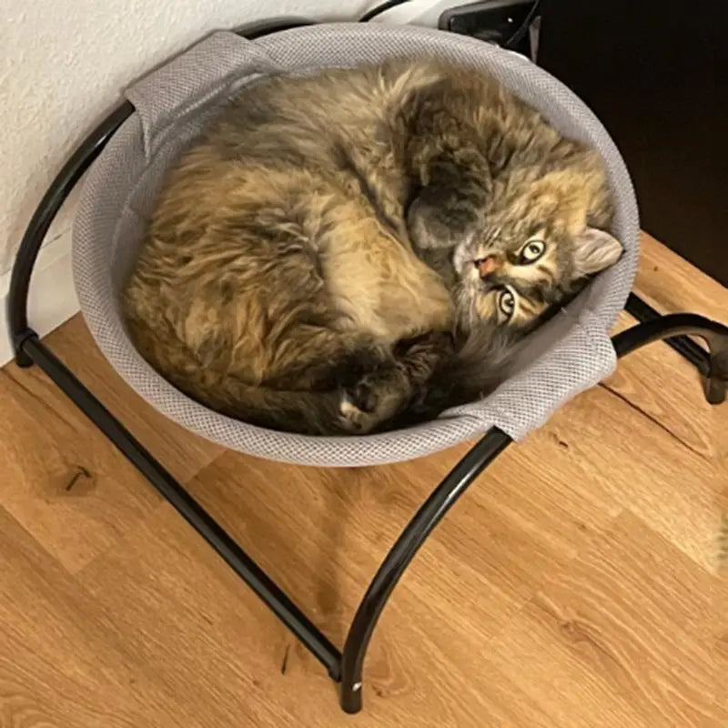 Pet Hammock Cat Standing Bed