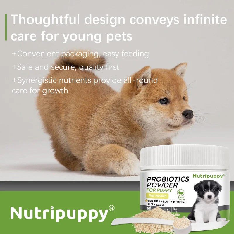 Dog Probiotic Powder Supplement