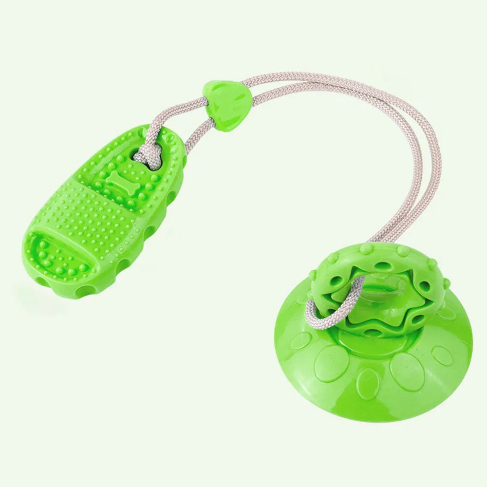Pet Supplies: Suction Cup