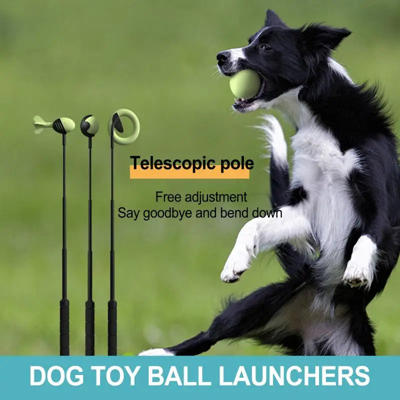 Dog Toys Throwing Pole
