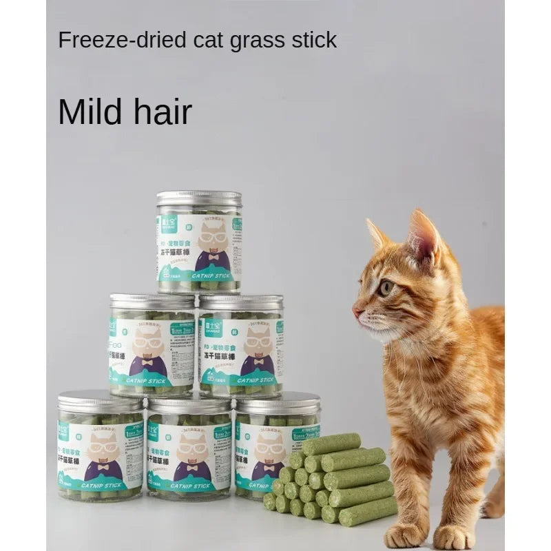 pet Supplement Nutrition for Dog