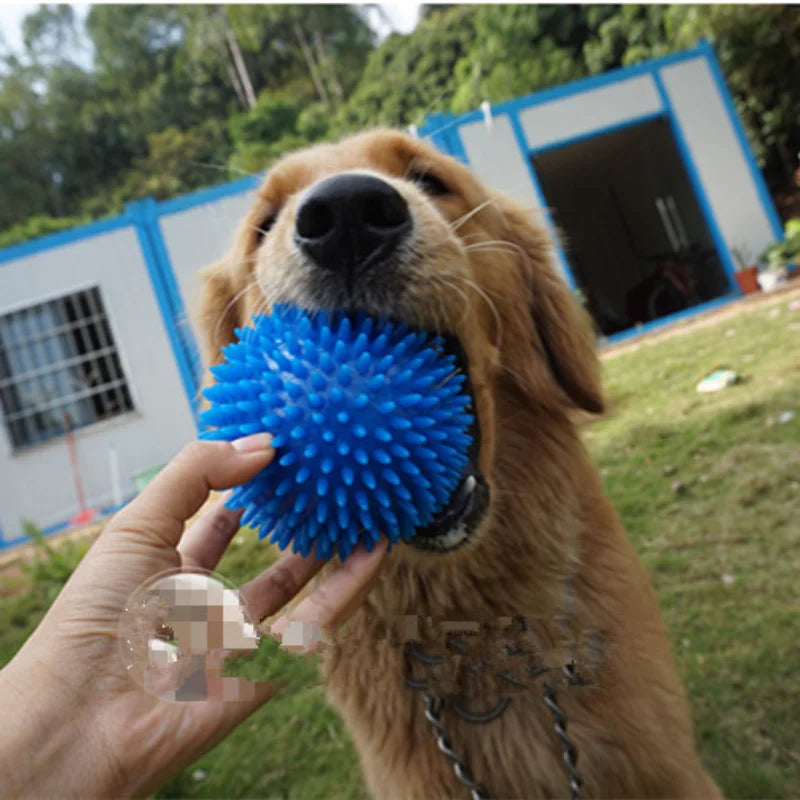 Puppy Pet Dog Cat  Ball Toys,