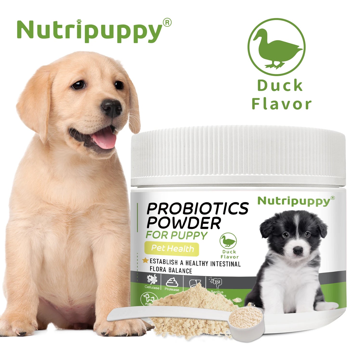 Dog Probiotic Powder Supplement