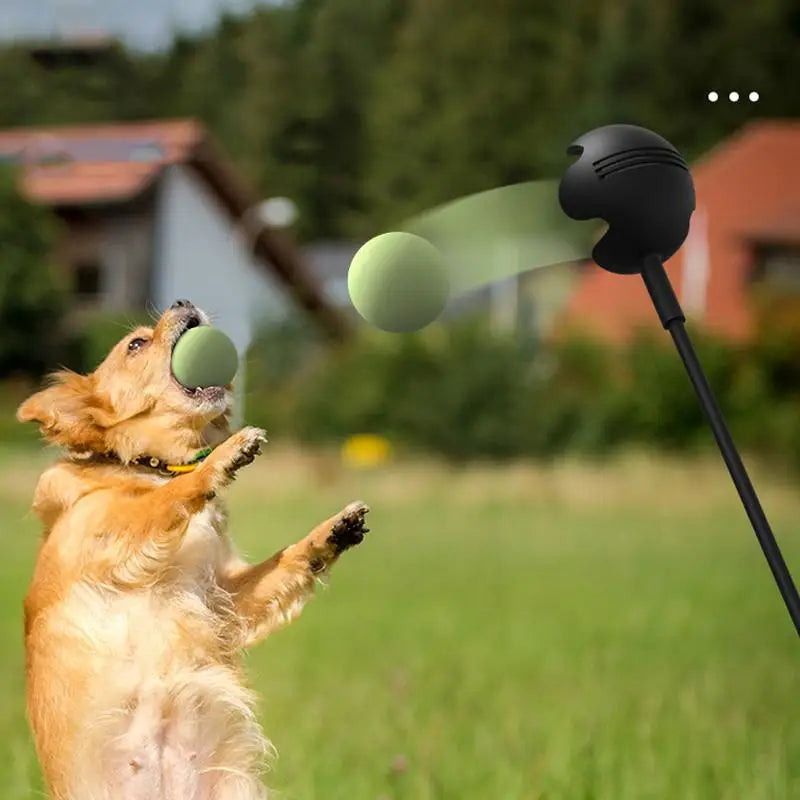 Dog Toys Throwing Pole