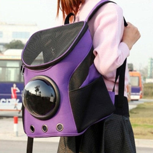Adventure Paws Portable Pet Carrier: The Stylish Solution For