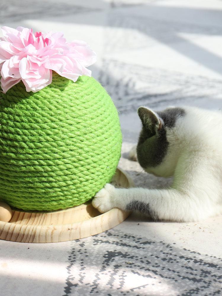 Cactus Paw-Purrfect Cat Grinding Toy