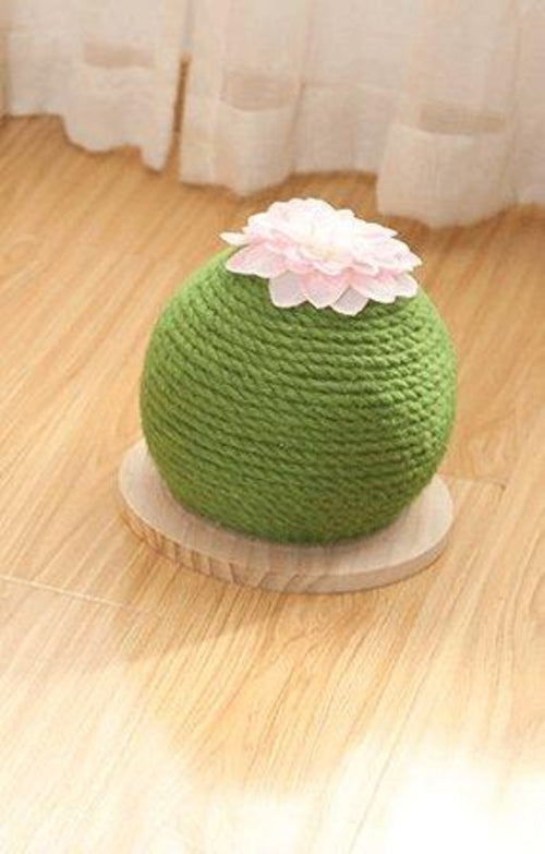 Cactus Paw-Purrfect Cat Grinding Toy