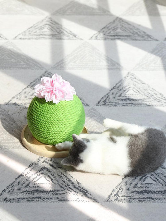 Cactus Paw-Purrfect Cat Grinding Toy