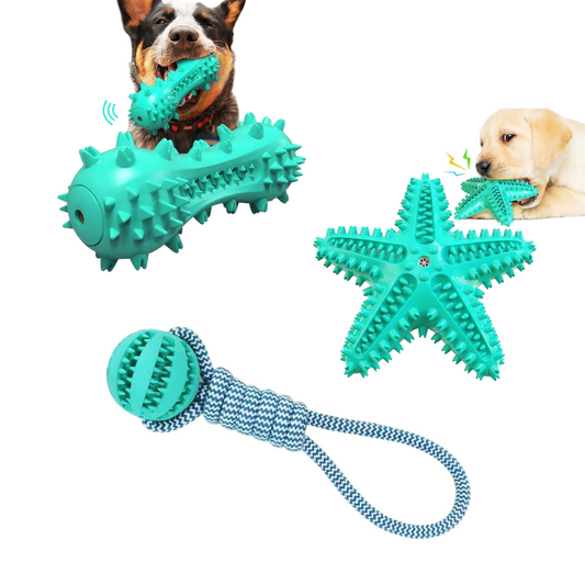 toothbrush and cotton rope ball dog toys