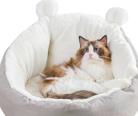 fast shipping cat bed