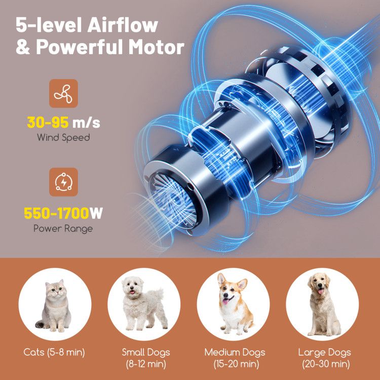 Dog Cat Hair Blower with Negative Ion Function and Adjustable