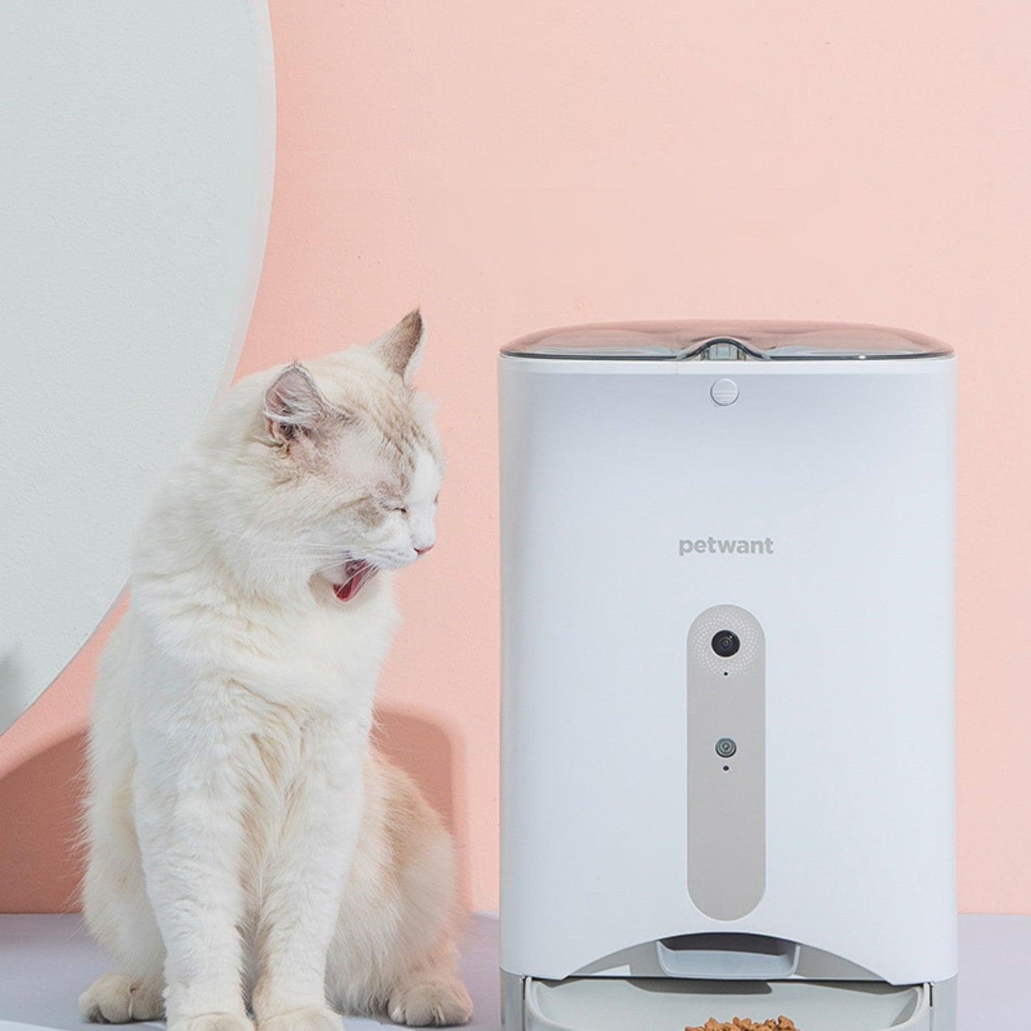 smartpaws automatic pet feeder