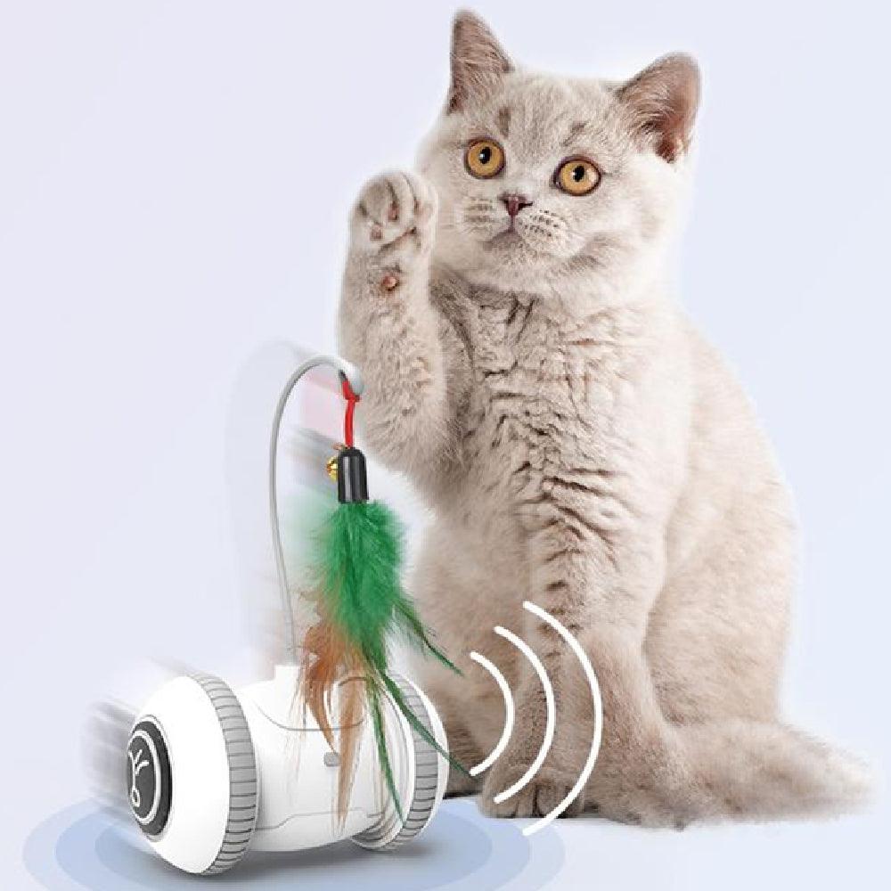Interactive Feather Fun: Robotic Cat Toy With Interchangeable Heads